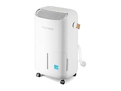 ASAHWo Dehumidifier