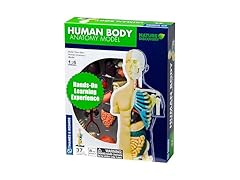 Thames & Kosmos 260830 Human Body Anatomy Model Toy