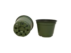 Seed Kingdom 6" Plastic Pots 100pk