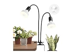 Barrina clip lamp