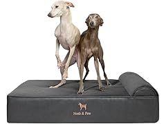 NOAH & PAW Orthopedic Dog Beds- Large
