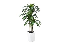 VeriNatural 5FT Artificial Dracaena Tree