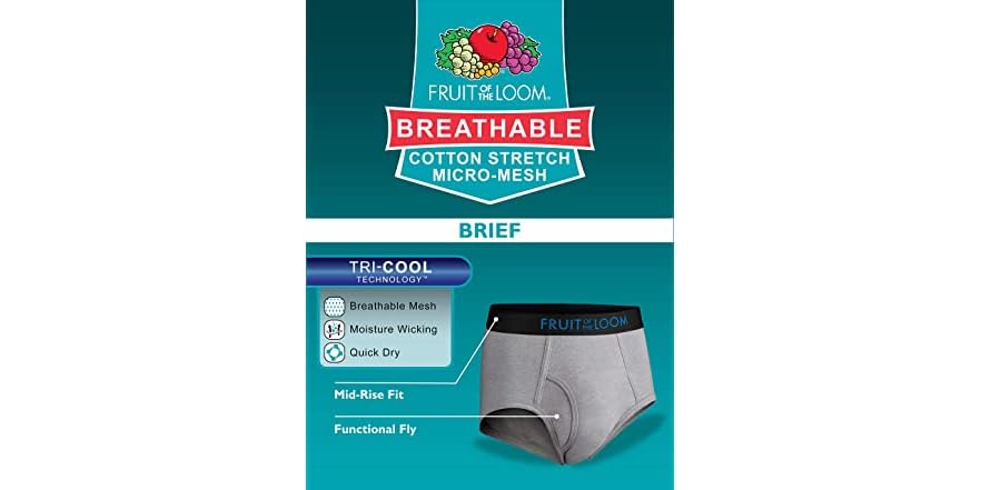 Fruit of the Loom Men's Briefs