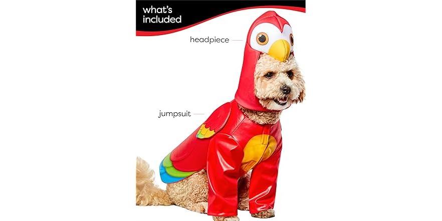 Parrot Costume For Dog