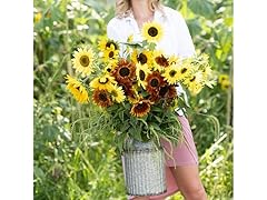 Eden Brothers Sunny Flower Mixed Seeds