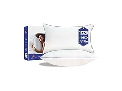 Pillow Insert Set of 2