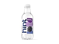 1CT Hint Flavored Water, Blackberry, 16 Fl Oz