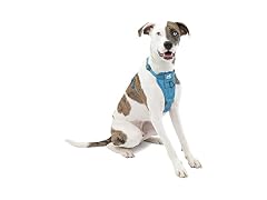 Kurgo Tru-Fit Smart Dog Walking Harness