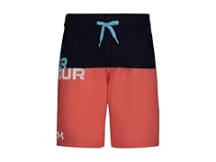 Kids Logo Color Block Volley (YM)