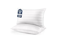 DIORIS Pillows Queen Size Set of 2