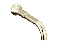 Delta Trinsic Wall Mount Bathroom Faucet
