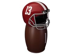Alabama FANbasket