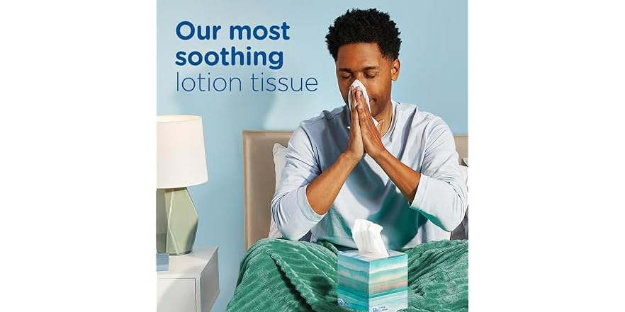 One Plus Tissue Puffs Plus Lotion Facial Tissues, 1 Family Box, 124 Tissues per Box