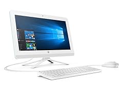 HP 19.5" Intel Dual-Core 1TB AIO Desktop