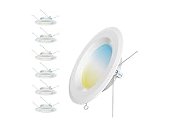 6 Pack LED Recessed Light