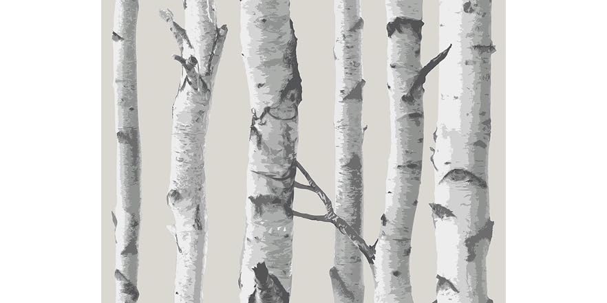 Birch Tree Peel and Stick Wallpaper