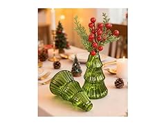 2 Pack Glass Plant Terrarium Vases