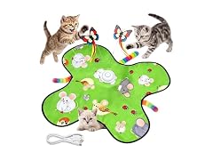 VEHICAR 3-in-1 Interactive Cat Toy