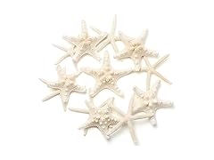 UEIEU 12 PCS Starfish Decor | 2.5-6 Inch