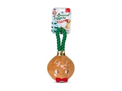 Bow Wow Pet Gingerbread Ornament Rope Plush Dog Toy