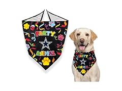 NFL Dallas Cowboys Pet Birthday Bandana, NFL Small/Medium