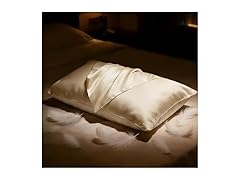 BHZ Beige Satin Goose Feather Pillow