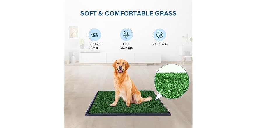 Image showcasing FluffyDream Artificial Grass for Dog