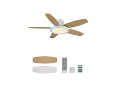 VONLUCE RGB 42in Ceiling Fan Control