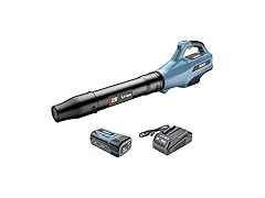 SENIX X5 58 Volt Max Handheld Cordless Leaf Blower