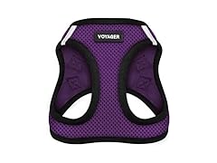 Best Pet Supplies - All Weather Mesh/Plush, Reflective Med