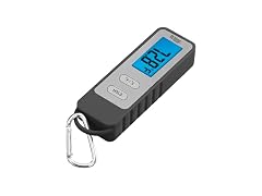 Taylor TruTemp Compact Digital Folding Meat Thermometer 