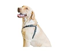 Premier Pet Step-in Harness - Large