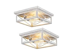 Hallway Light Fixtures for Ceiling, 2-Light