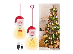 Santa Christmas Light Bulbs, 2 Pack