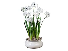 Ceramic Moon Bowl Gift Set