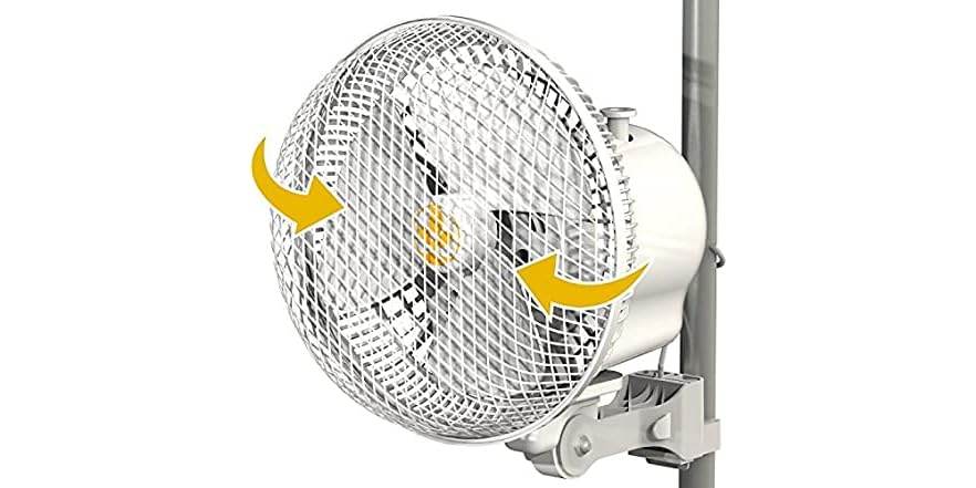 Monkey Fans Secret Jardin Oscillating Monkey Fan