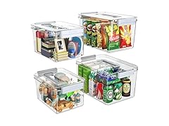 Plastic Storage Bins with Lids