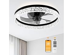 DAMINY Ceiling Fandelier with Lights | 20in
