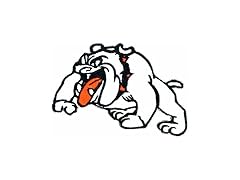 HHO CARTOON PATCH Bulldog Pitbull Dog Patch