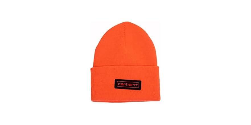 $6.99 | Carhartt Men (OS) Knit Logo Patch Beanie at Woot!