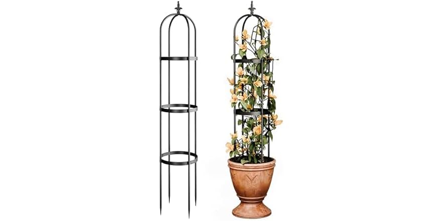 Idzo Trellis for Climbing Plants