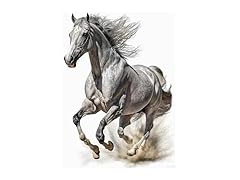 HMDIIMGE Diamond Painting Kits, Dappled Gray Horse