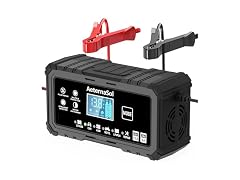 15A Smart Car Battery Charger, 12V/24V