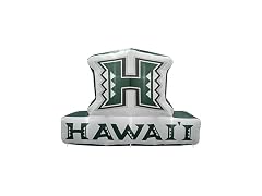 FANMATS NCAA Hawaii Rainbow Warriors Inflatable Mascot