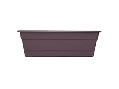 Plant Window Box, 36-Inch, Exotica