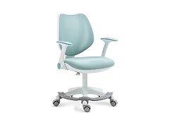 HOMEFUN BC3073526079827 Kids Desk Chair