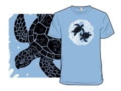 Ocean Turtles