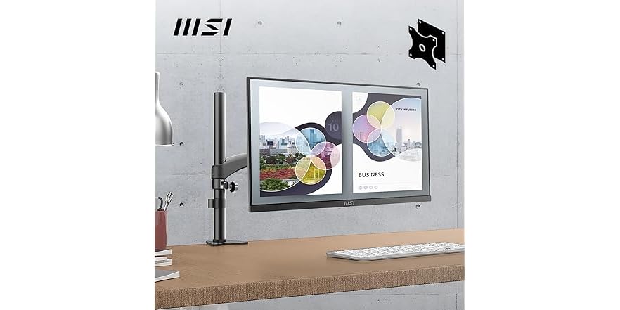 MSI PRO MP253 24.5