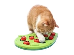 RXJPASD Cat Treat Puzzle and Scratch Board Combo Toy