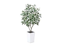 VeriNatural 5FT Artificial Ficus Tree with White Taper Planter & Pebbles
